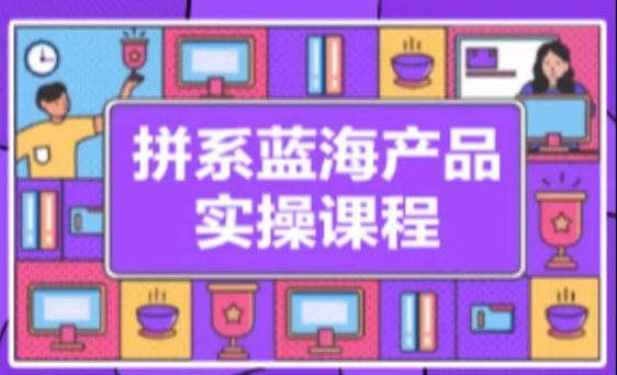 拼系冷门蓝海产品实操，从注册店铺到选品上架到流量维护环环相扣-创学笔记