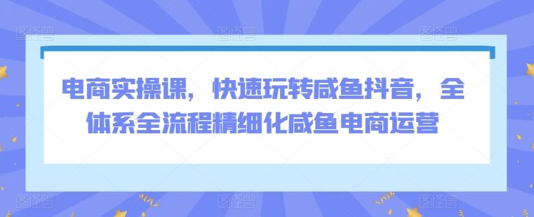 电商实操课，快速玩转咸鱼抖音，全体系全流程精细化咸鱼电商运营-创学笔记