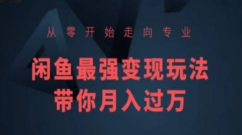 从零开始走向专业，闲鱼最强变现玩法带你月入过万-创学笔记