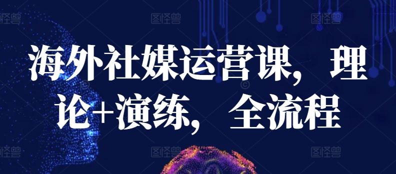 海外社媒运营全攻略，理论实践一手抓-创学笔记