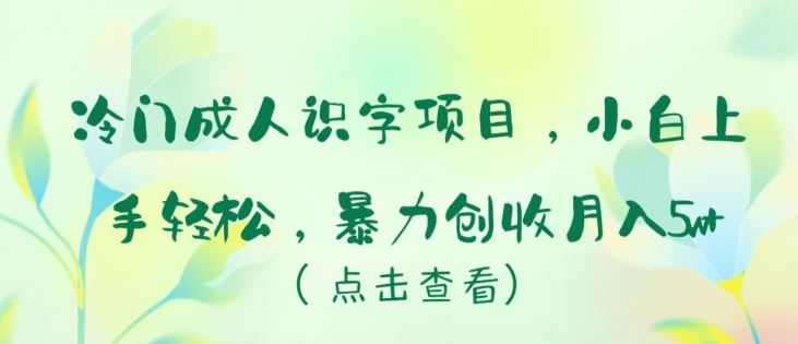 成人识字项目揭秘，轻松上手月入五万+-创学笔记