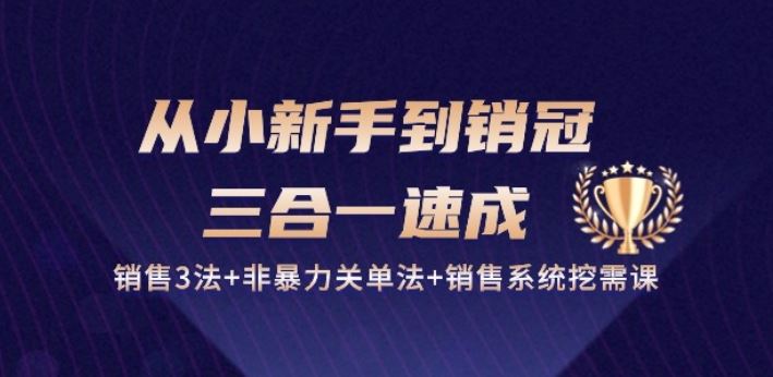 从小新手到销冠三合一速成:销售3法+非暴力关单法+销售系统 (27节)-创学笔记