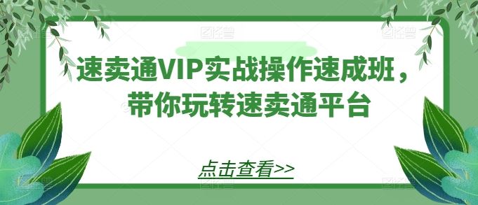 速卖通VIP实战操作速成班，带你玩转速卖通平台-创学笔记